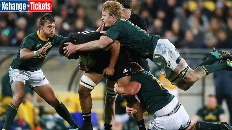 Erasmus will not depart South Africa before next year's Rugby World Cup in France
