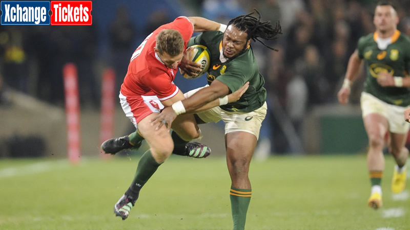 South Africa World Cup Tickets | South Africa Vs Ireland Tickets | Rugby World Cup Tickets | Rugby World Cup Tickets | Rugby World Cup 2023 Tickets | RWC Tickets | Rugby World Cup Final Tickets | France Rugby World Cup Tickets
