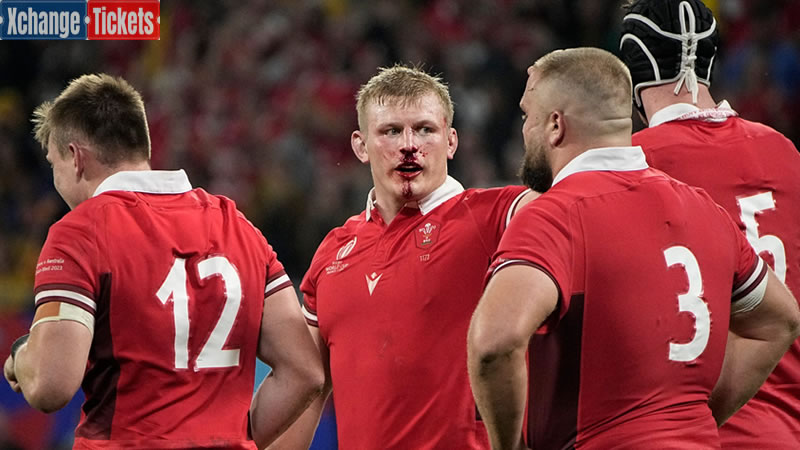 Rugby World Cup quarter-finalists ranked